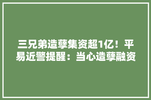 三兄弟造孽集资超1亿！平易近警提醒：当心造孽融资集资陷阱 三兄弟造孽集资超1亿！平易近警提醒：当心造孽融资集资陷阱 智能科技