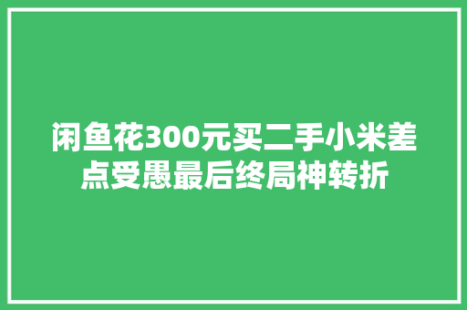 闲鱼花300元买二手小米差点受愚最后终局神转折 闲鱼花300元买二手小米差点受愚最后终局神转折 互联通信