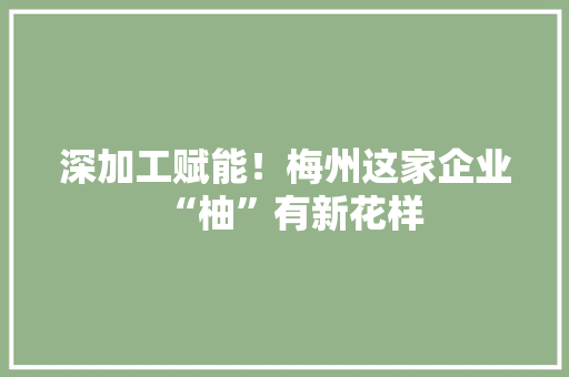 深加工赋能！梅州这家企业“柚”有新花样 深加工赋能！梅州这家企业“柚”有新花样 人工智能