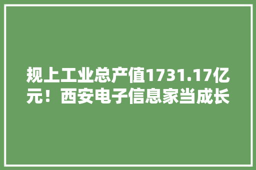 规上工业总产值1731.17亿元！西安电子信息家当成长势能强劲 规上工业总产值1731.17亿元！西安电子信息家当成长势能强劲 互联通信