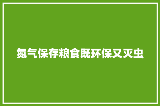 氮气保存粮食既环保又灭虫 氮气保存粮食既环保又灭虫 智能家居