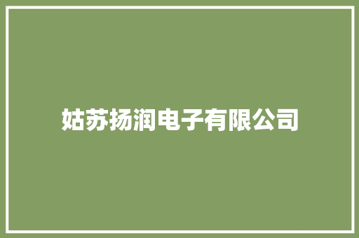 姑苏扬润电子有限公司