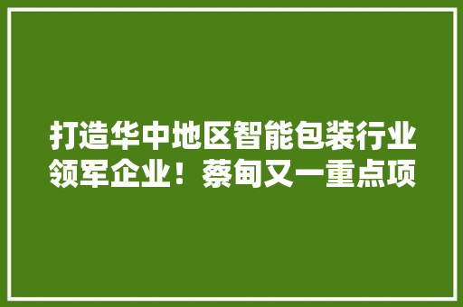 打造华中地区智能包装行业领军企业！蔡甸又一重点项目开工