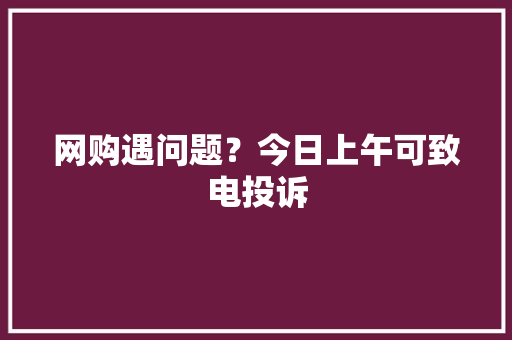 网购遇问题？今日上午可致电投诉