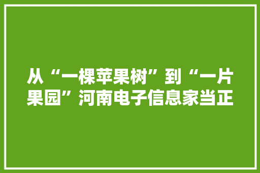 从“一棵苹果树”到“一片果园”河南电子信息家当正迸发新活力