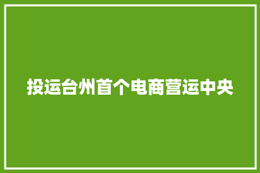 投运台州首个电商营运中央