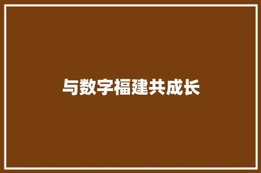 与数字福建共成长