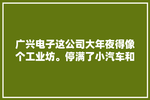 广兴电子这公司大年夜得像个工业坊。停满了小汽车和电瓶车