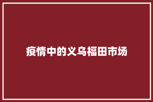 疫情中的义乌福田市场