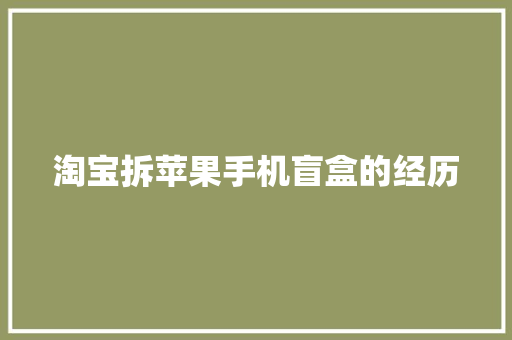 淘宝拆苹果手机盲盒的经历