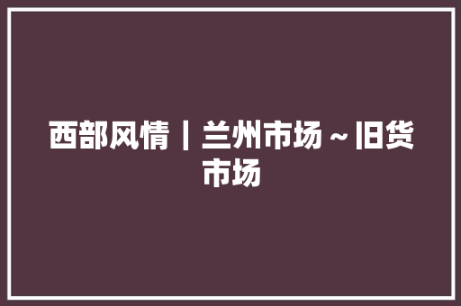 西部风情｜兰州市场～旧货市场