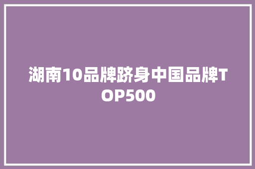 湖南10品牌跻身中国品牌TOP500