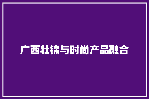 广西壮锦与时尚产品融合
