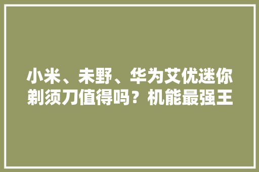 小米、未野、华为艾优迷你剃须刀值得吗？机能最强王牌测评鏖战！