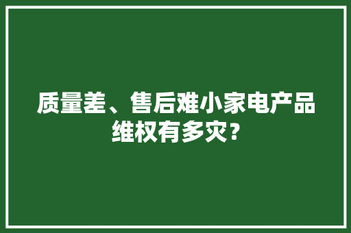 质量差、售后难小家电产品维权有多灾？