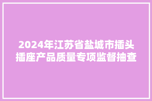 2024年江苏省盐城市插头插座产品质量专项监督抽查分析申报