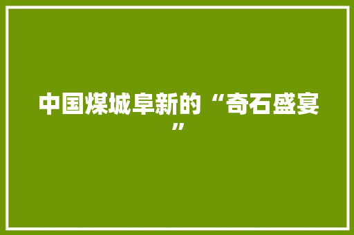 中国煤城阜新的“奇石盛宴”