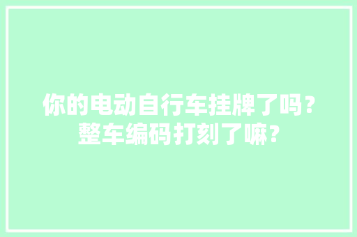 你的电动自行车挂牌了吗？整车编码打刻了嘛？