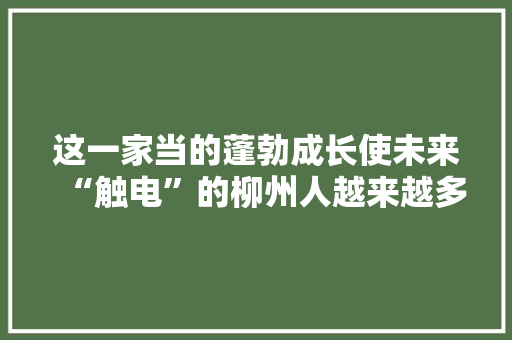 这一家当的蓬勃成长使未来“触电”的柳州人越来越多