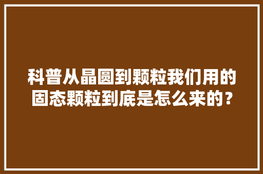 科普从晶圆到颗粒我们用的固态颗粒到底是怎么来的？ 科普从晶圆到颗粒我们用的固态颗粒到底是怎么来的？ 人工智能