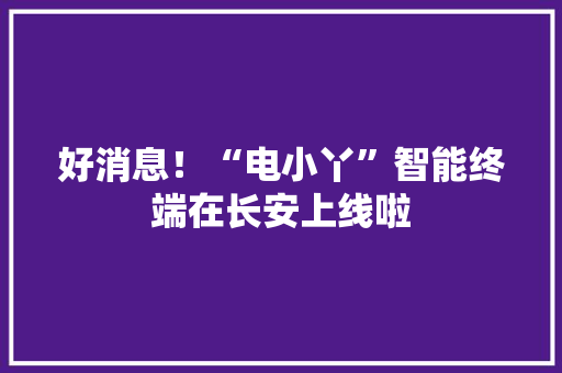 好消息！“电小丫”智能终端在长安上线啦