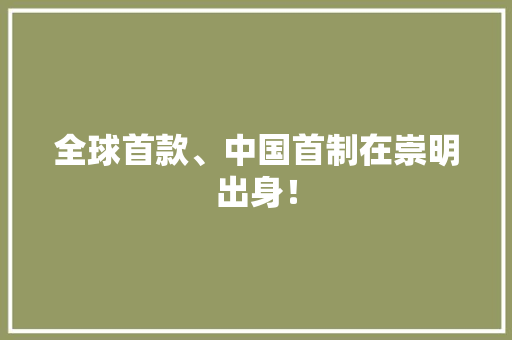 全球首款、中国首制在崇明出身！ 全球首款、中国首制在崇明出身！ 互联通信