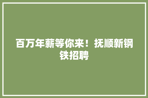 百万年薪等你来！抚顺新钢铁招聘