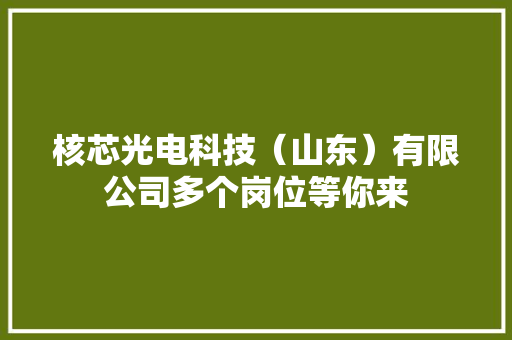 核芯光电科技（山东）有限公司多个岗位等你来