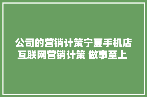 公司的营销计策宁夏手机店互联网营销计策 做事至上 宁夏宁垦电子