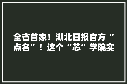 全省首家！湖北日报官方“点名”！这个“芯”学院实力出众 全省首家！湖北日报官方“点名”！这个“芯”学院实力出众 互联通信