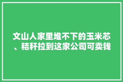 文山人家里堆不下的玉米芯、秸秆拉到这家公司可卖钱！