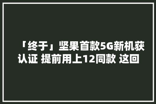 「终于」坚果首款5G新机获认证 提前用上12同款 这回支持吗？ 「终于」坚果首款5G新机获认证 提前用上12同款 这回支持吗？ 智能家居