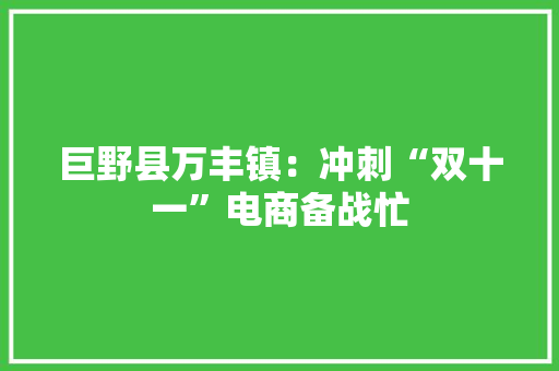 巨野县万丰镇：冲刺“双十一”电商备战忙