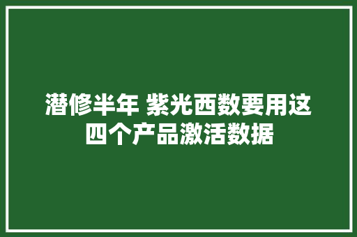 潜修半年 紫光西数要用这四个产品激活数据