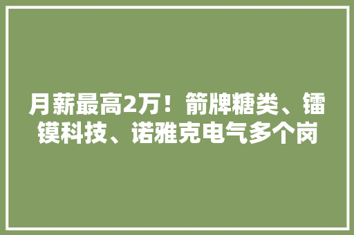 月薪最高2万！箭牌糖类、镭镆科技、诺雅克电气多个岗位招聘 月薪最高2万！箭牌糖类、镭镆科技、诺雅克电气多个岗位招聘 智能科技