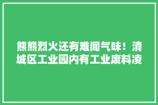 熊熊烈火还有难闻气味！清城区工业园内有工业废料凌晨着火消防紧急出动成功处置
