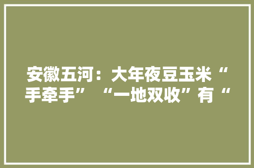 安徽五河：大年夜豆玉米“手牵手” “一地双收”有“赚头” 安徽五河：大年夜豆玉米“手牵手” “一地双收”有“赚头” 互联通信