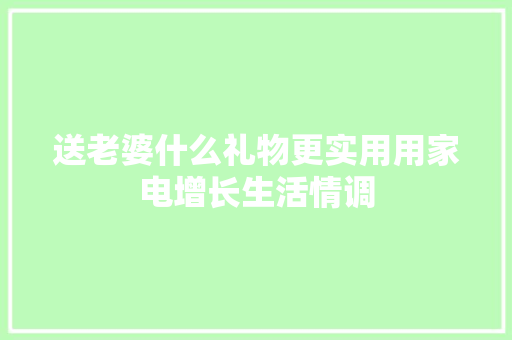 送老婆什么礼物更实用用家电增长生活情调