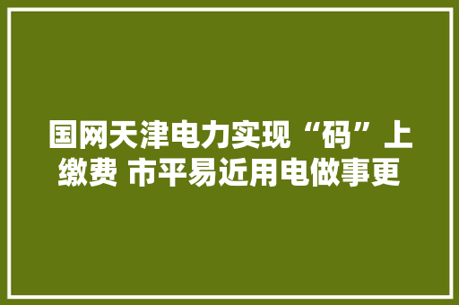 国网天津电力实现“码”上缴费 市平易近用电做事更便捷