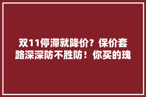 双11停滞就降价？保价套路深深防不胜防！你买的瑰宝怎么样了,保价双十一什么意思。