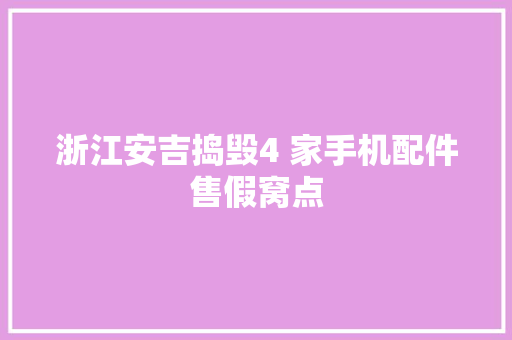 浙江安吉捣毁4 家手机配件售假窝点