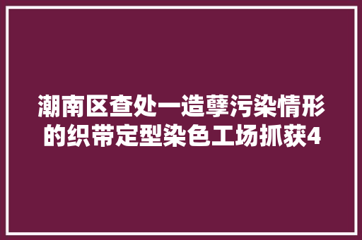 潮南区查处一造孽污染情形的织带定型染色工场抓获4人