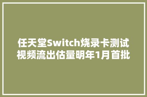 任天堂Switch烧录卡测试视频流出估量明年1月首批发货