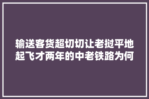 输送客货超切切让老挝平地起飞才两年的中老铁路为何那么强？,老挝币对人民币汇率。