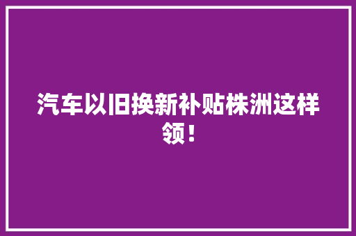 汽车以旧换新补贴株洲这样领！