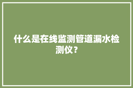 什么是在线监测管道漏水检测仪？,漏水维修免费上门勘察。