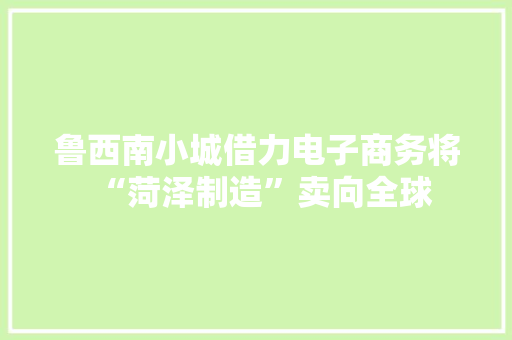 鲁西南小城借力电子商务将“菏泽制造”卖向全球,电商是做什么的。