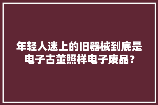 年轻人迷上的旧器械到底是电子古董照样电子废品？