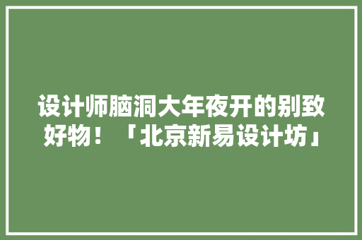 设计师脑洞大年夜开的别致好物！「北京新易设计坊」,设计师培训班。