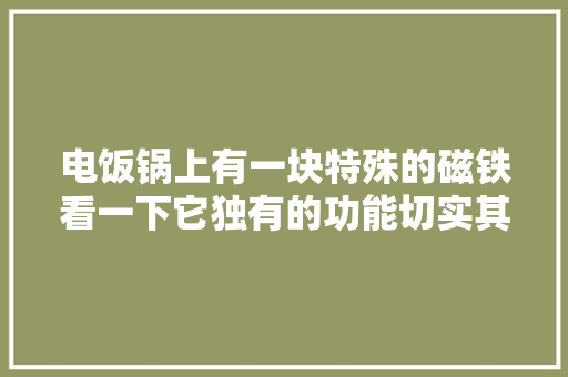 电饭锅上有一块特殊的磁铁看一下它独有的功能切实其实太神奇了